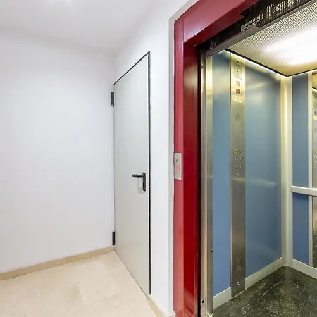 Albufera Dreams Nature Valência