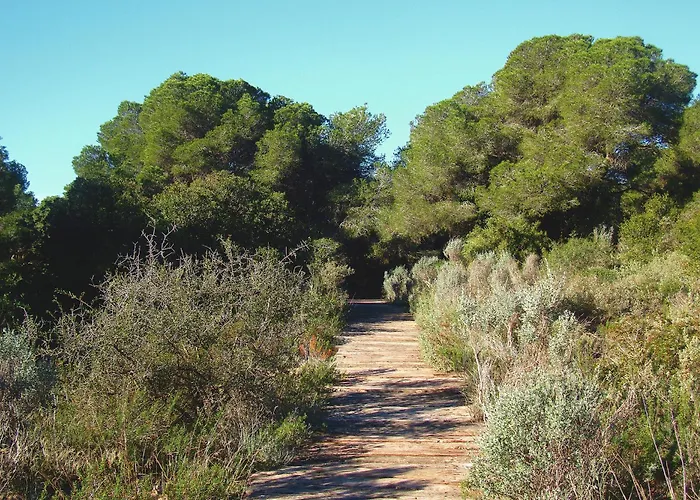Albufera Dreams Nature 3* Valenza