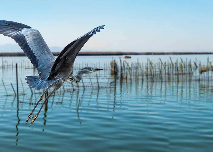 Albufera Dreams Nature Aparthotel 3*