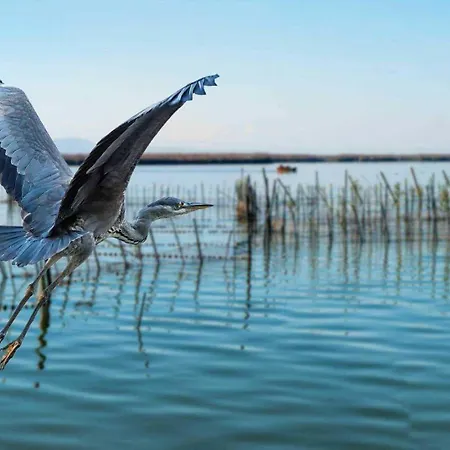 Albufera Dreams Nature Apartahotel *